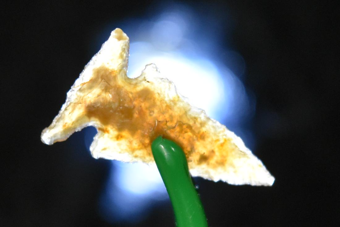 3/4" Side Notch Point, Moss Agate, Columbia River (1 of 5)