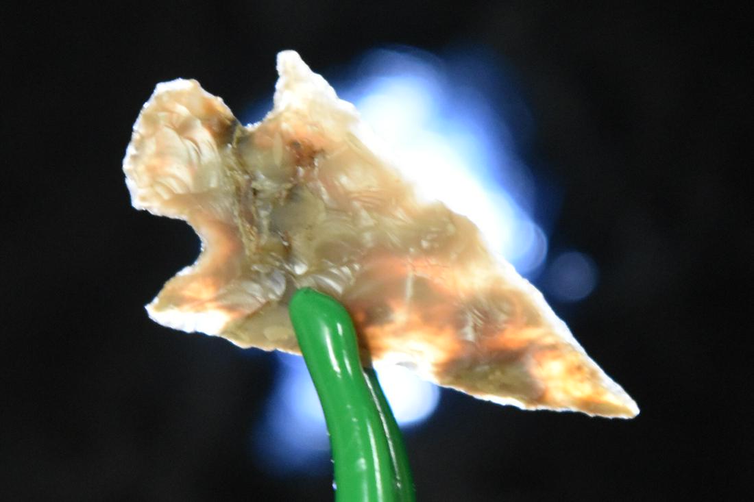 1" Columbia Plateau Point, Agatized Wood, Deschutes (1 of 5)