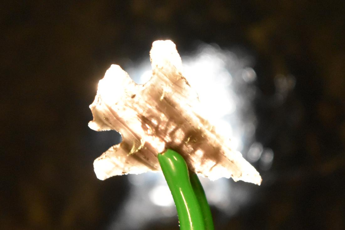 3/4" Columbia Plateau Point, Old Klamath Lake, Oregon, (1 of 5)