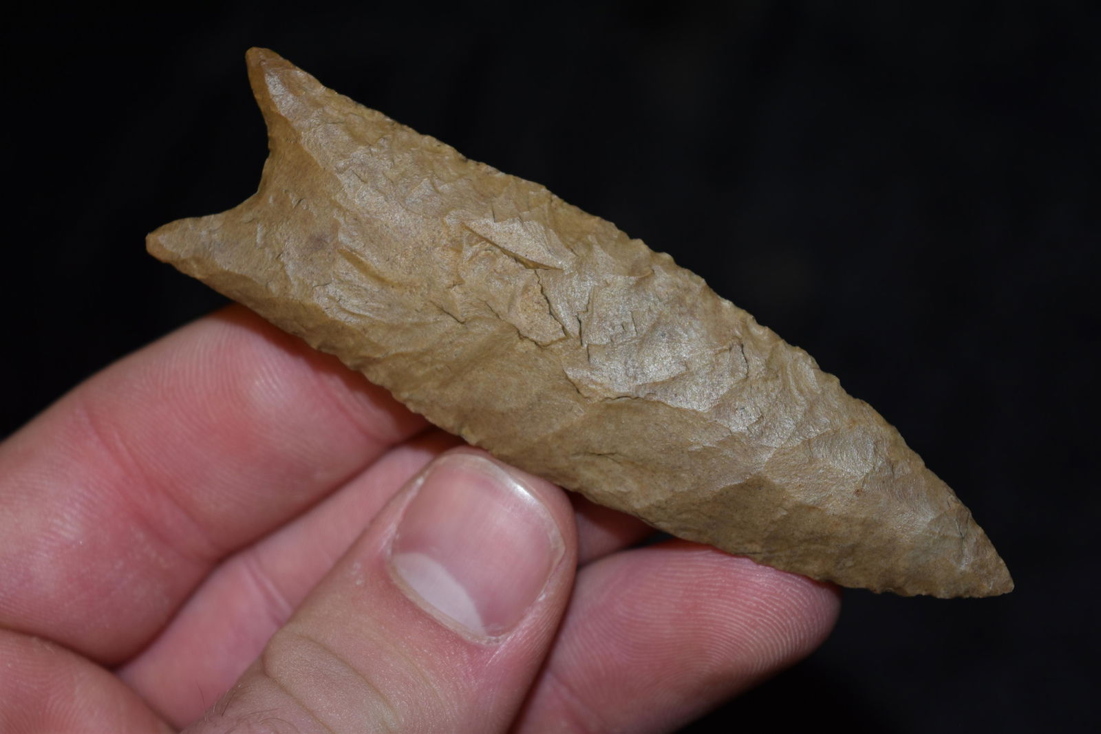 3 1/2" Dalton Point, Jackson Co, Illinois, Ex CB: 3 1/2" Dalton Point, Jackson Co, Illinois, Ex CB Connell, Don Lewis, Arrowhead, Native American Artifact