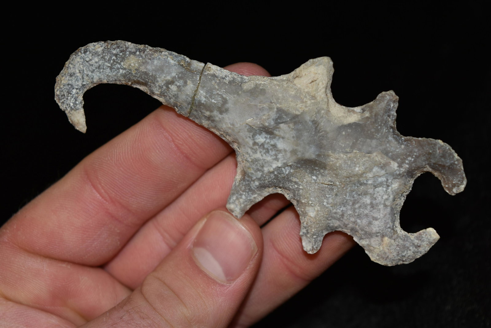 4" Scorpion Effigy, Central America: 4" Scorpion Effigy, Central America, Arrowhead, Native American Artifact, glued