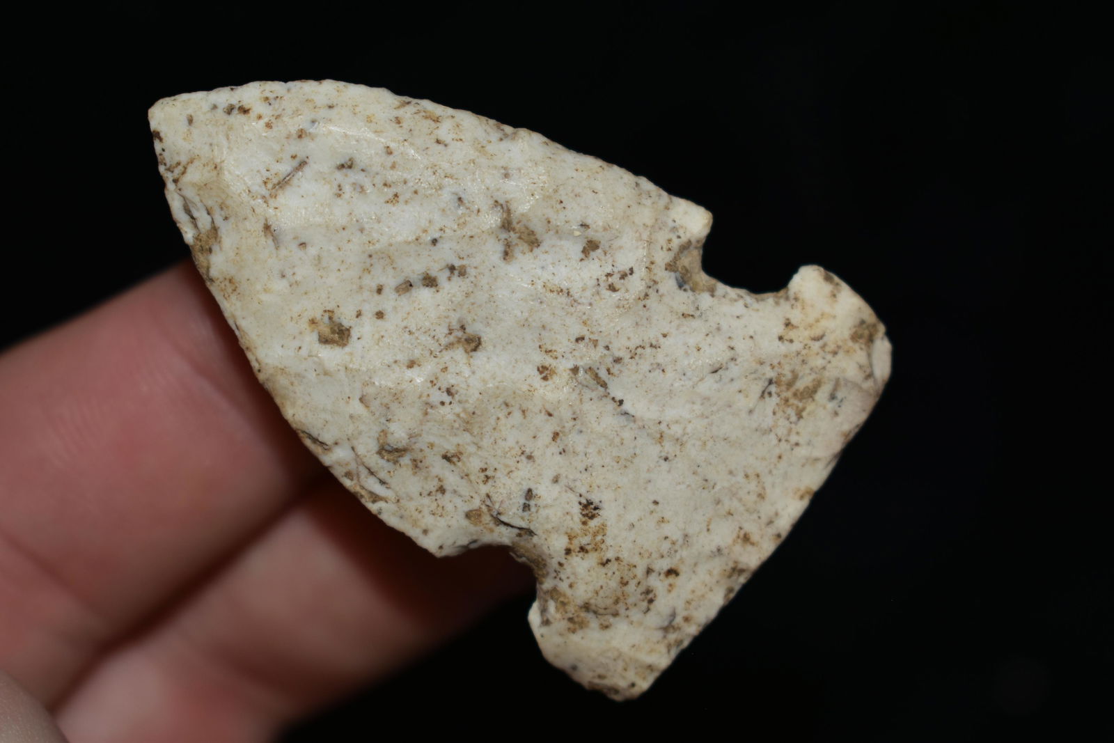 2" Godar Point: 2" Godar Point