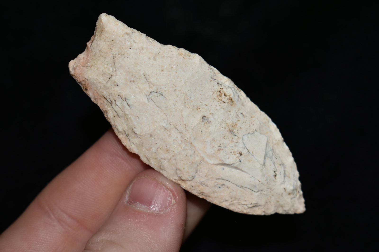 2 7/8" Angstura Point, found in Central Missouri (1 of 6)