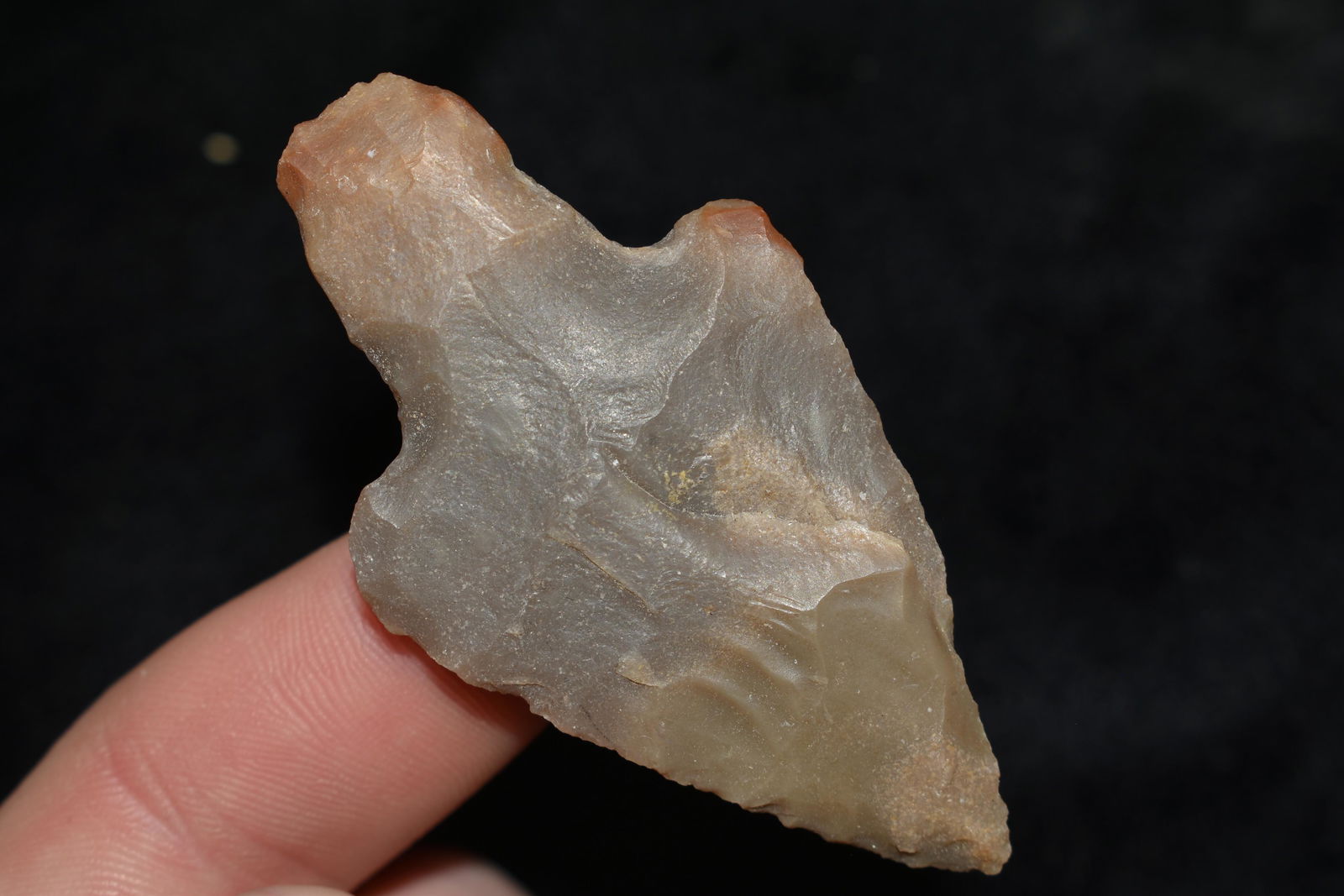 2 1/2" Stemmed Point (1 of 6)