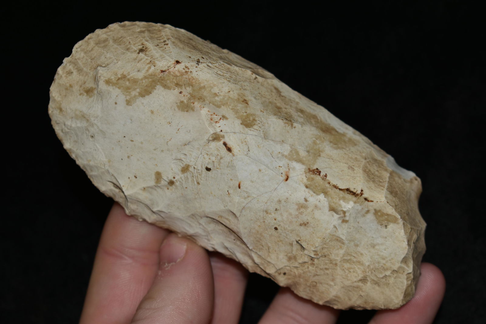 4 5/8" Dalton Adze, Great Bit Polish, found in Adams (1 of 6)