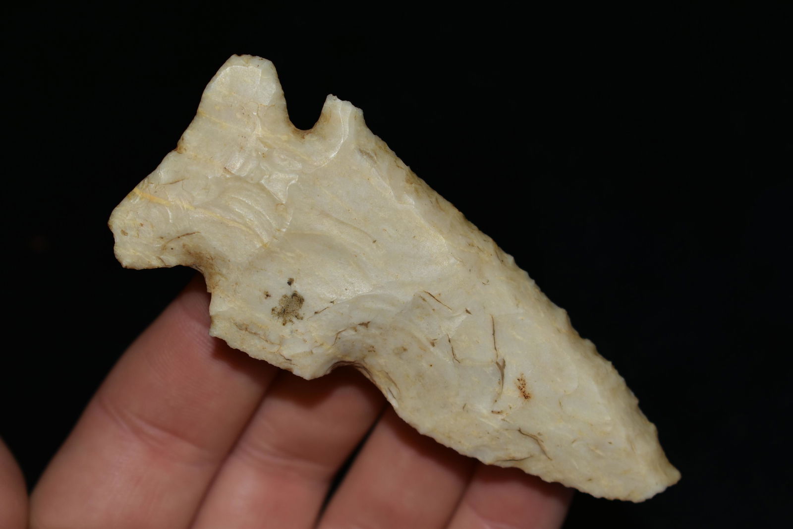 3 3/8" Thebes (1 of 6)