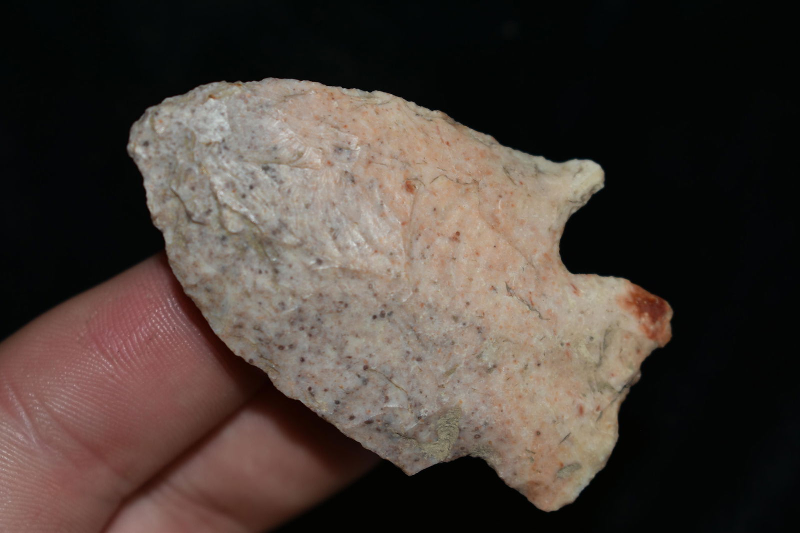 2" Rice Lobbed Point (1 of 5)