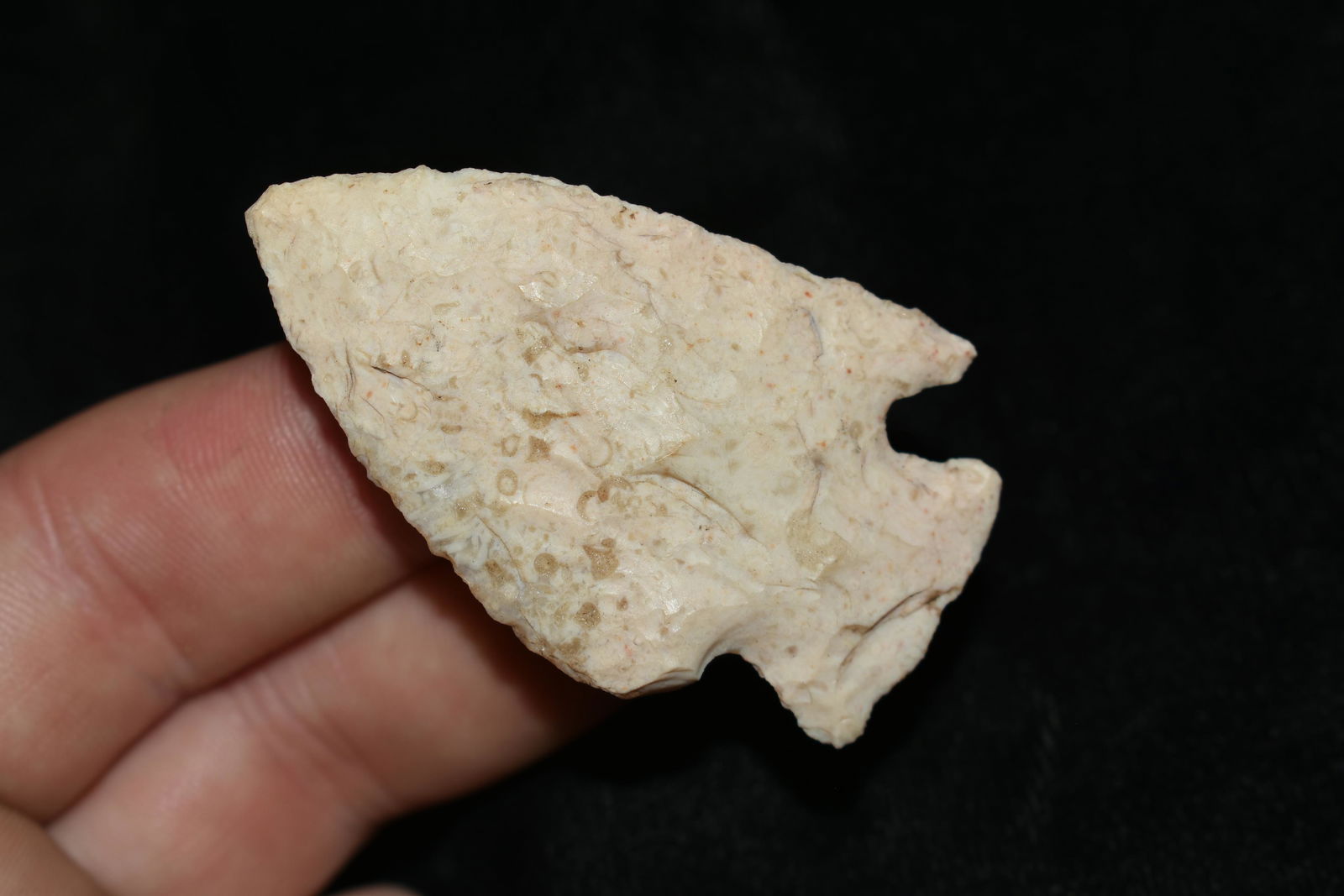 2 1/8" Woodland Point, found in Central Illinois (1 of 4)