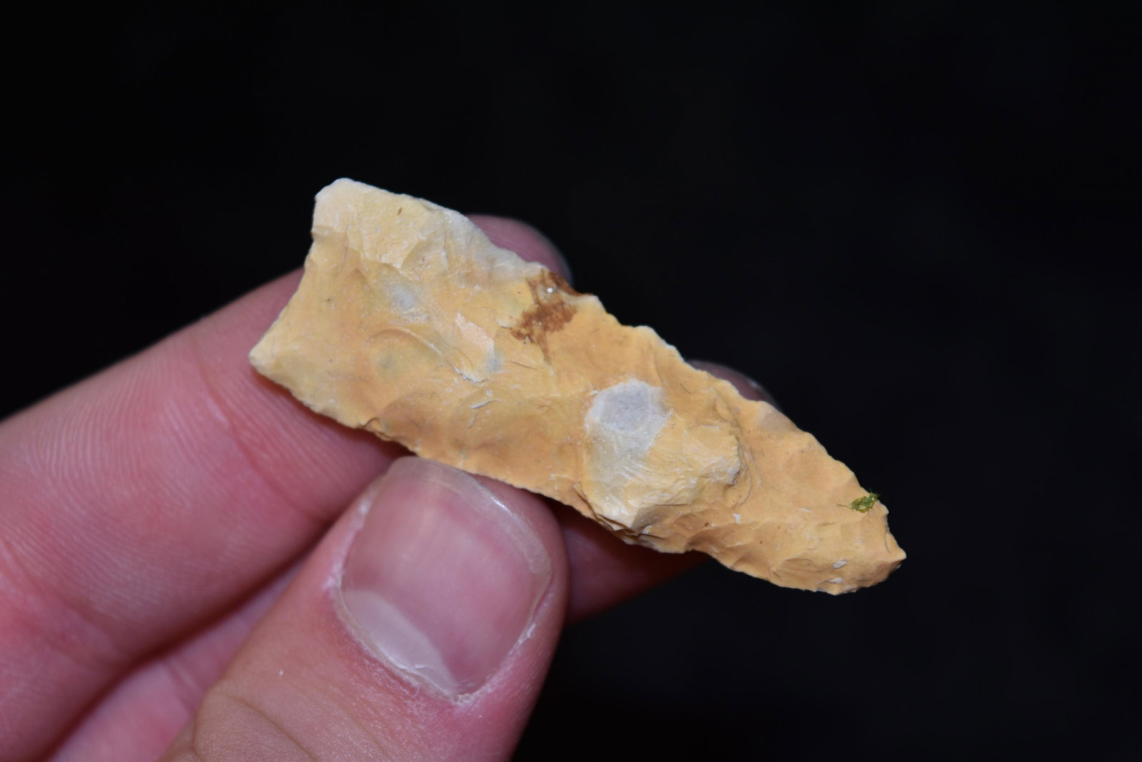 2 1/8" Creek Stained Dalton Point, FB Herb Sanders,: 2 1/8" Creek Stained Dalton Point, FB Herb Sanders, Douglas Co, Missouri, Native American Arrowhead, Artifact