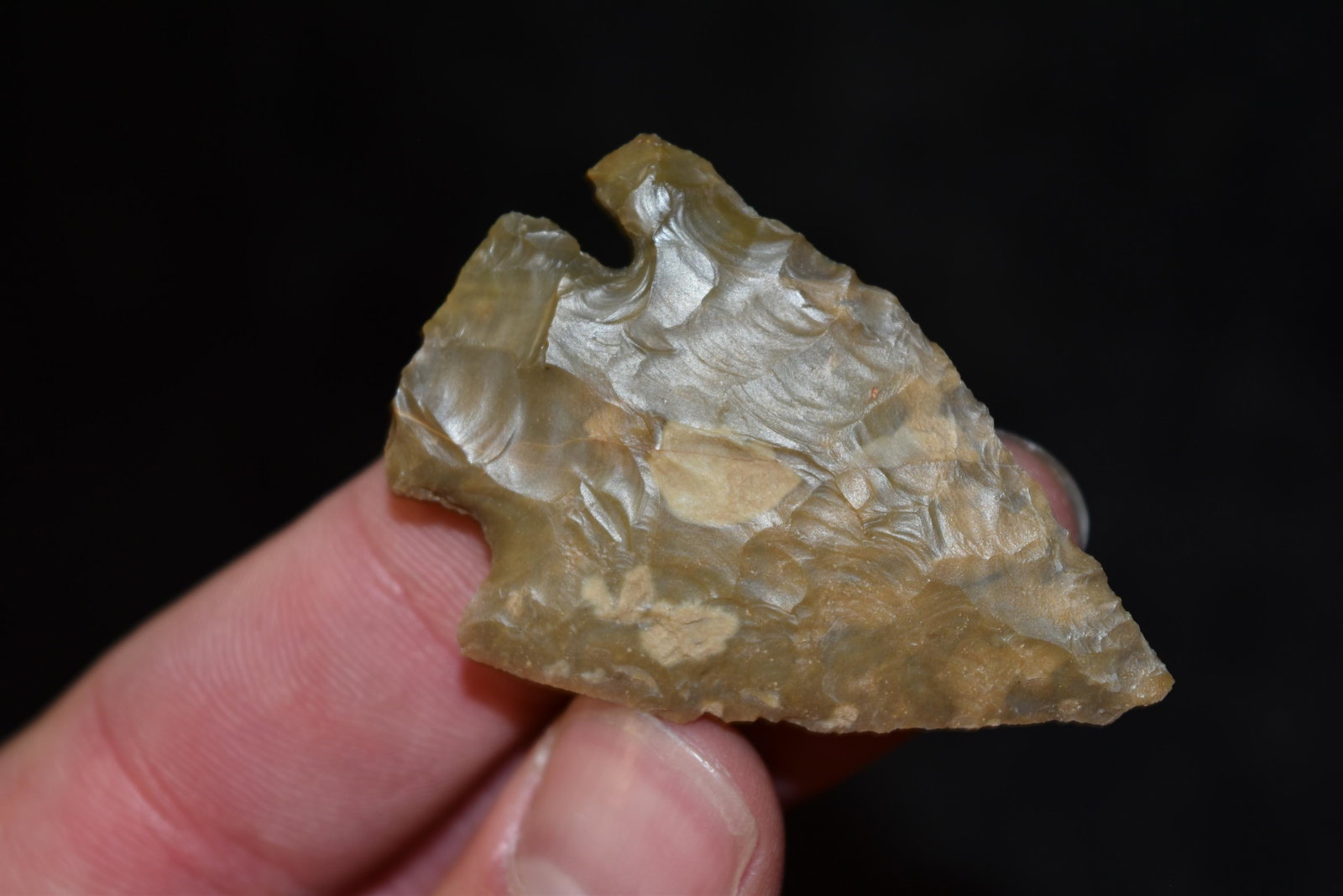 2" Creek Stained Mehlville Point, FB Herb Sanders,: 2" Creek Stained Mehlville Point, FB Herb Sanders, Douglas Co, Missouri, Native American Arrowhead, Artifact