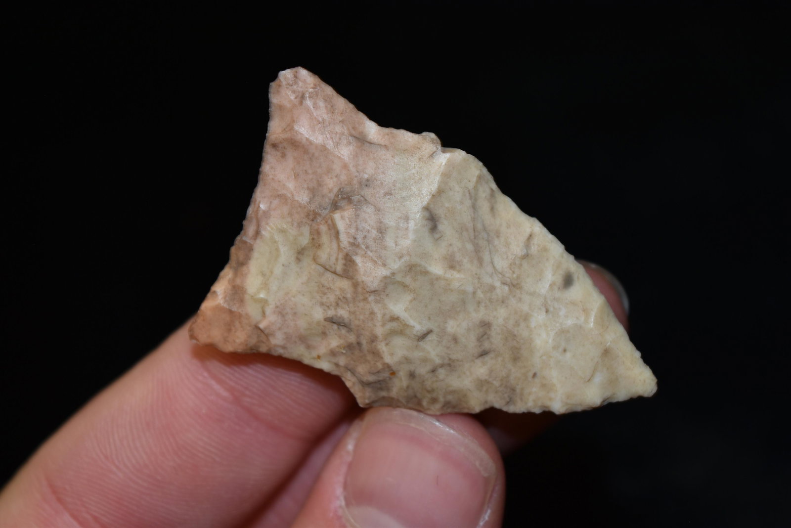 2 1/2" Rice Lobed Side Notch Point, FB Herb Sanders,: 2 1/2" Rice Lobed Side Notch Point, FB Herb Sanders, Douglas Co, Missouri, Native American Arrowhead, Artifact