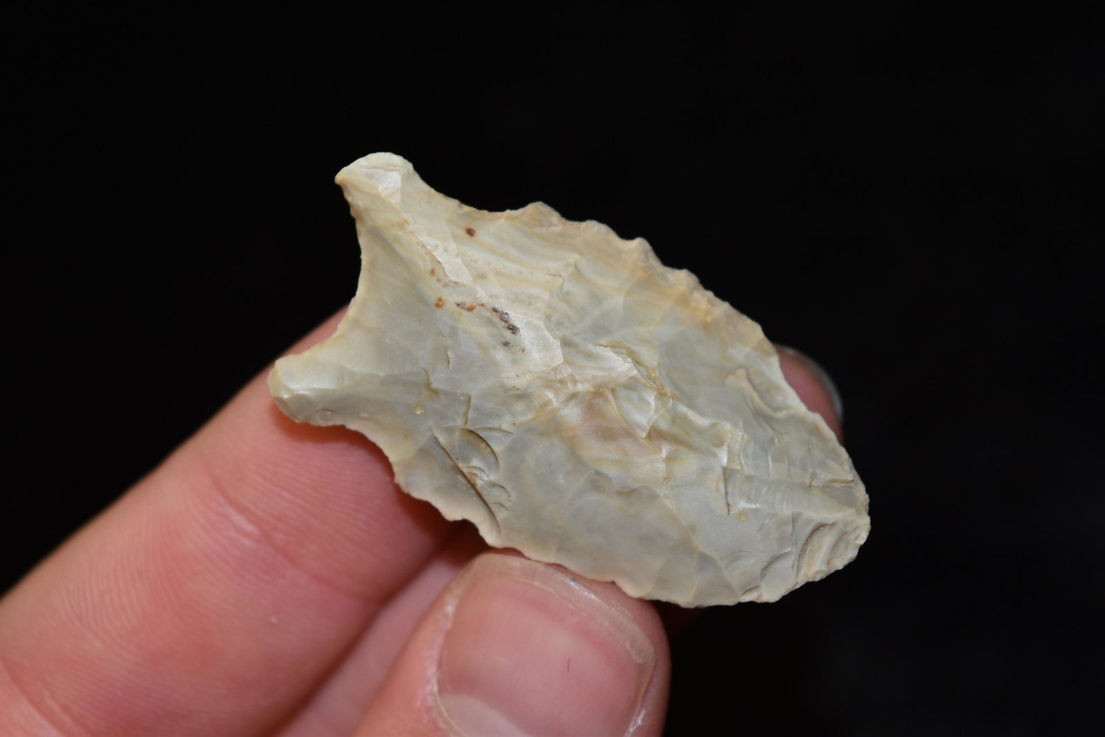 1 7/8" Dalton Point, FB Herb Sanders, Douglas Co,: 1 7/8" Dalton Point, FB Herb Sanders, Douglas Co, Missouri, Native American Arrowhead, Artifact
