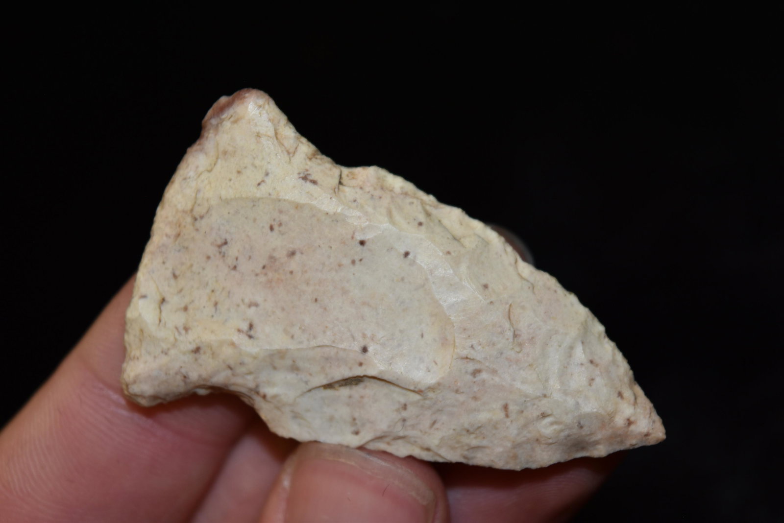 2" Gibson Point, FB Herb Sanders, Douglas Co, Missouri,: 2" Gibson Point, FB Herb Sanders, Douglas Co, Missouri, Native American Arrowhead, Artifact