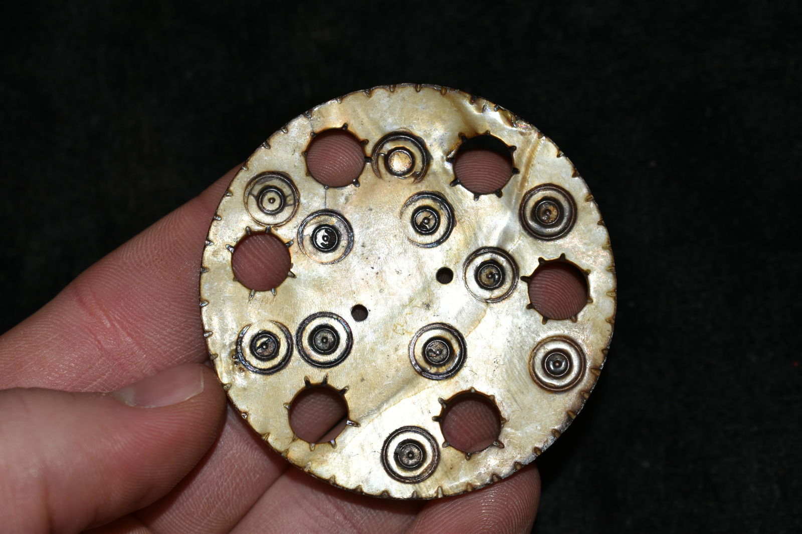 Gorget Pendant Made of Shell, Afghanistan: Gorget Pendant Made of Shell, Afghanistan