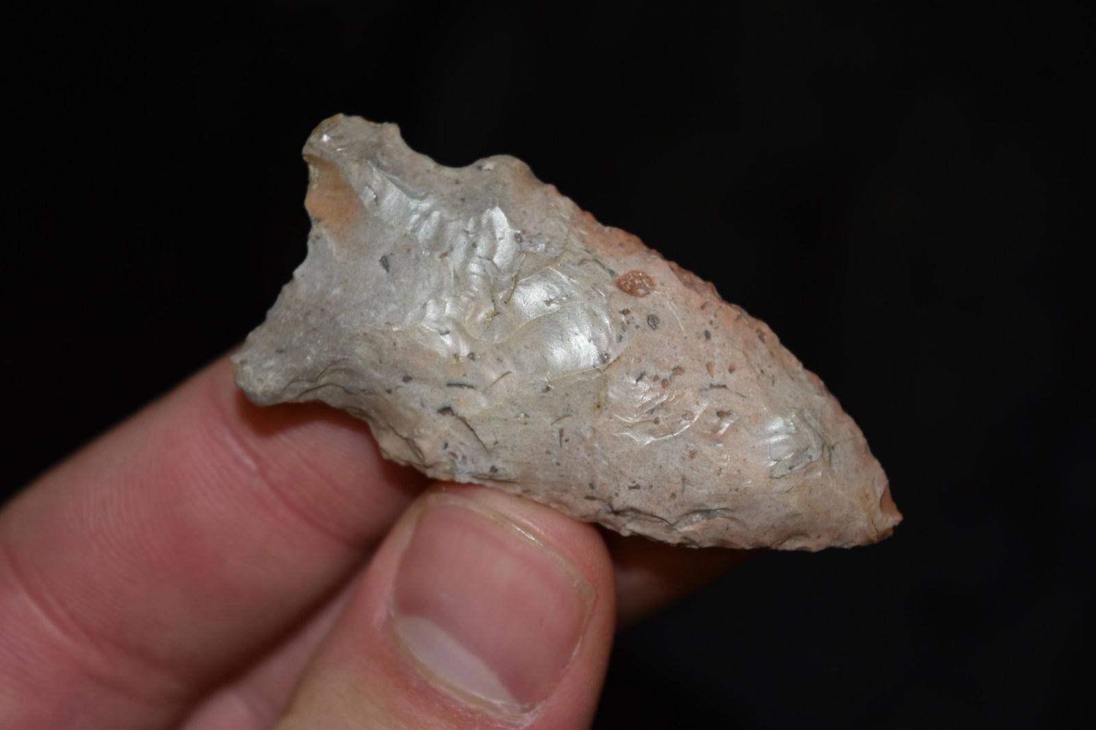 2" Osceola Point, Iowa, Native American Arrowhead, (1 of 5)