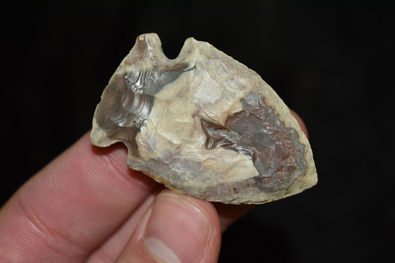 2" Rice Lobed Point, Iowa, Native American Arrowhead, (1 of 5)