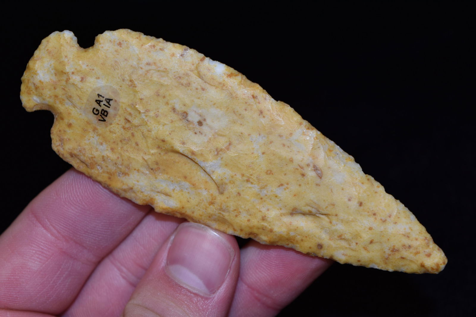 4 5/16" Dovetail Point, Motley COA, Van Buren Co, Iowa, (1 of 8)