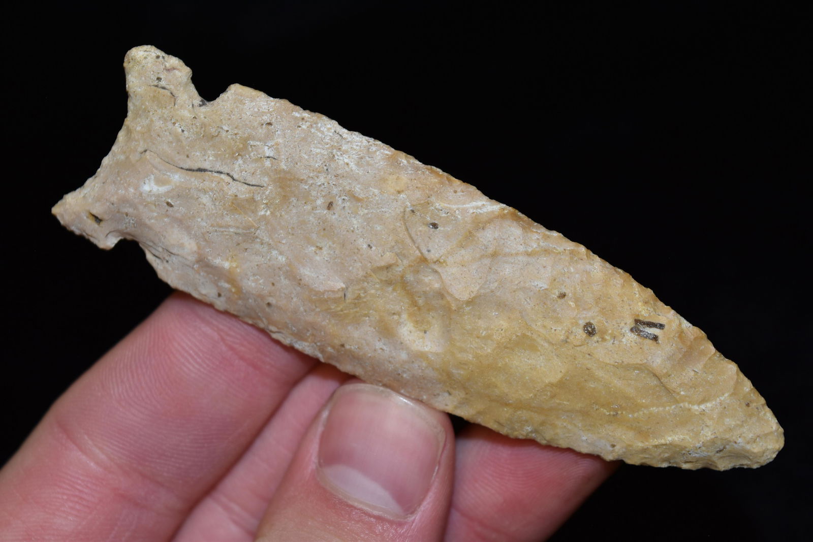 3 13/16" Graham Cave Point, Motley COA, Van Buren Co, (1 of 8)