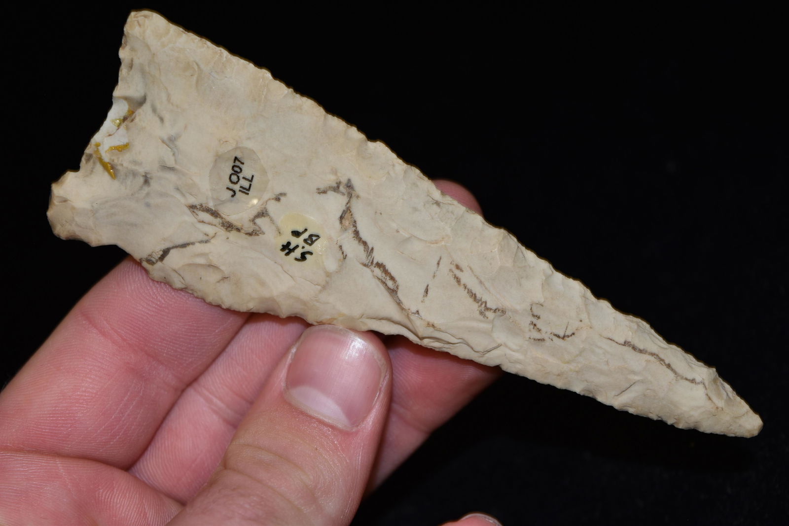 5" Large Classic Dalton Point, Motley COA, Illinois, (1 of 8)