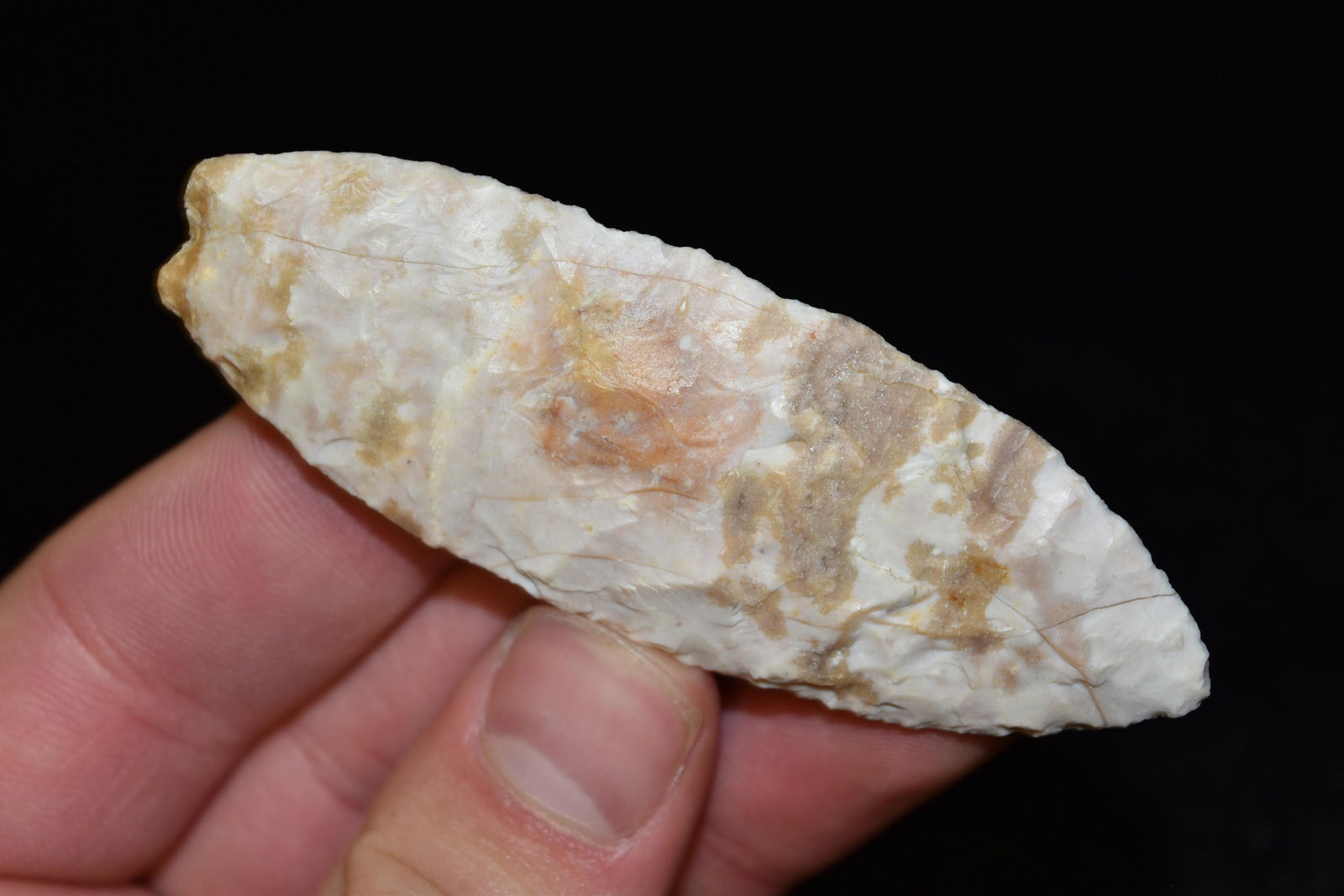 3 1/4" Angostura Point, Motley COA, Van Buren Co, Iowa, (1 of 8)