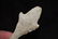 4 1/4" Adena Drill, Van Buren Co, Iowa, Found by Jim - 5
