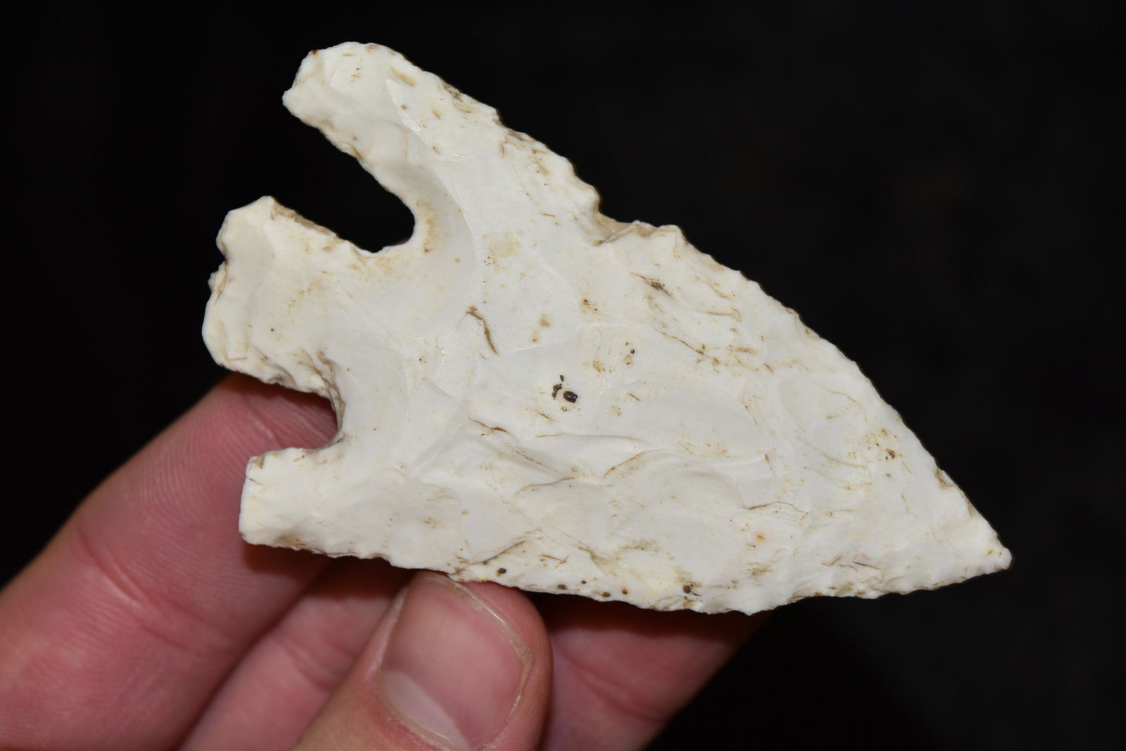 3 3/8" Mehlville Point, Great Ears, Van Buren Co, Iowa, (1 of 6)