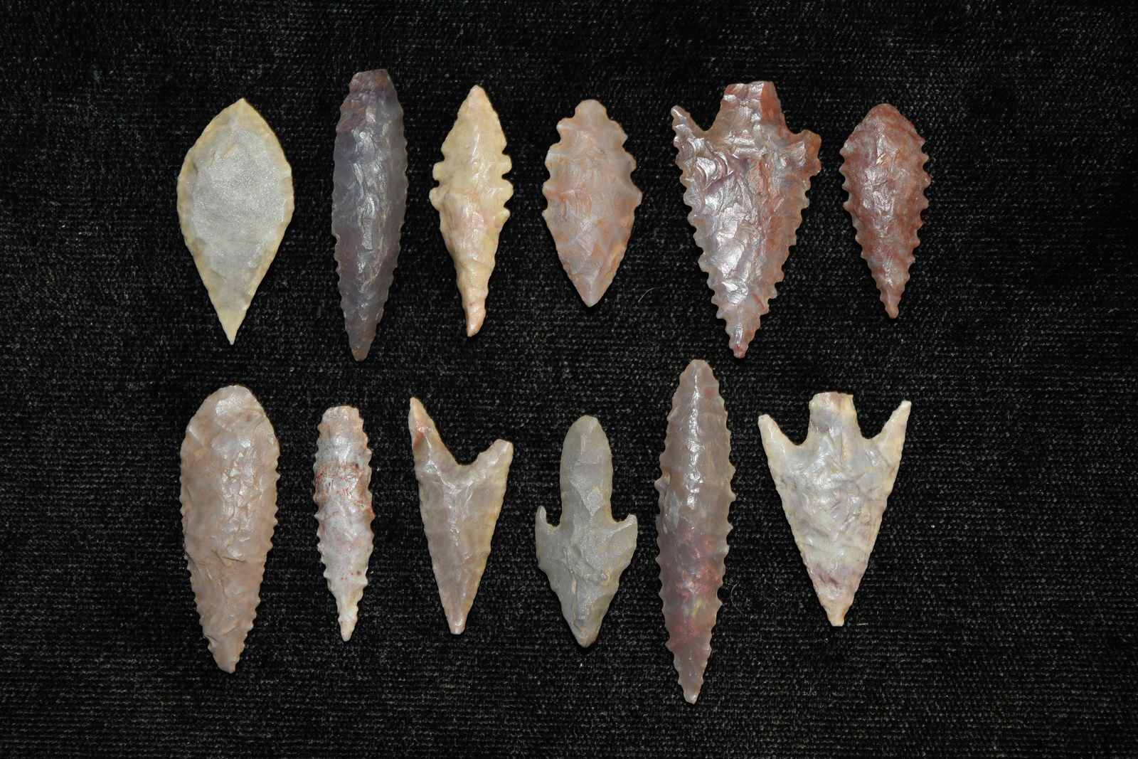 Lot of 12 Neolithic Points, Largest 1 5/8" , Native (1 of 4)