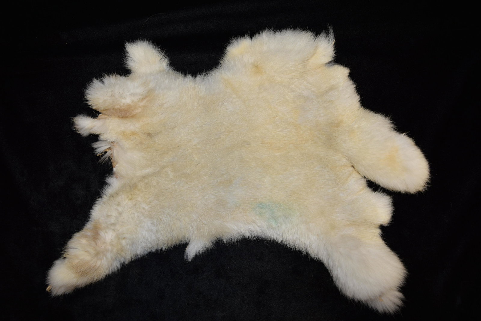 16" White Rabbit Pelt: 16" White Rabbit Pelt