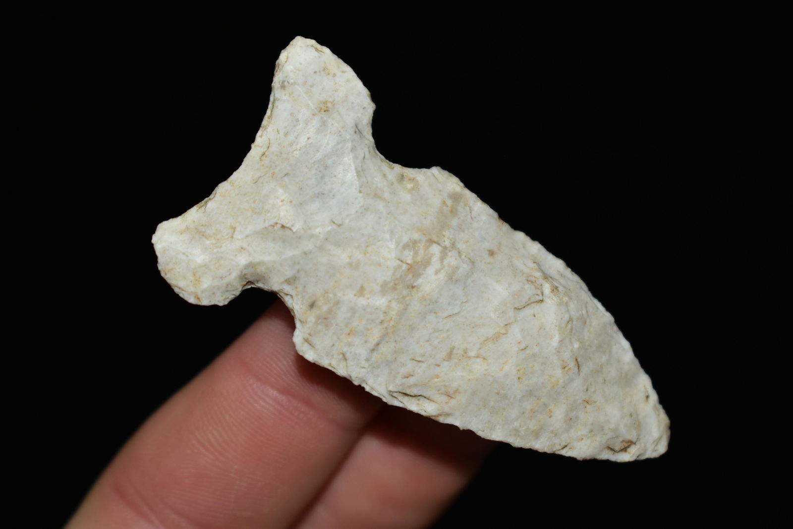 2 1/2" Osceola found in Grafton Illinois by Jess Reedy: 2 1/2" Osceola found in Grafton Illinois by Jess Reedy