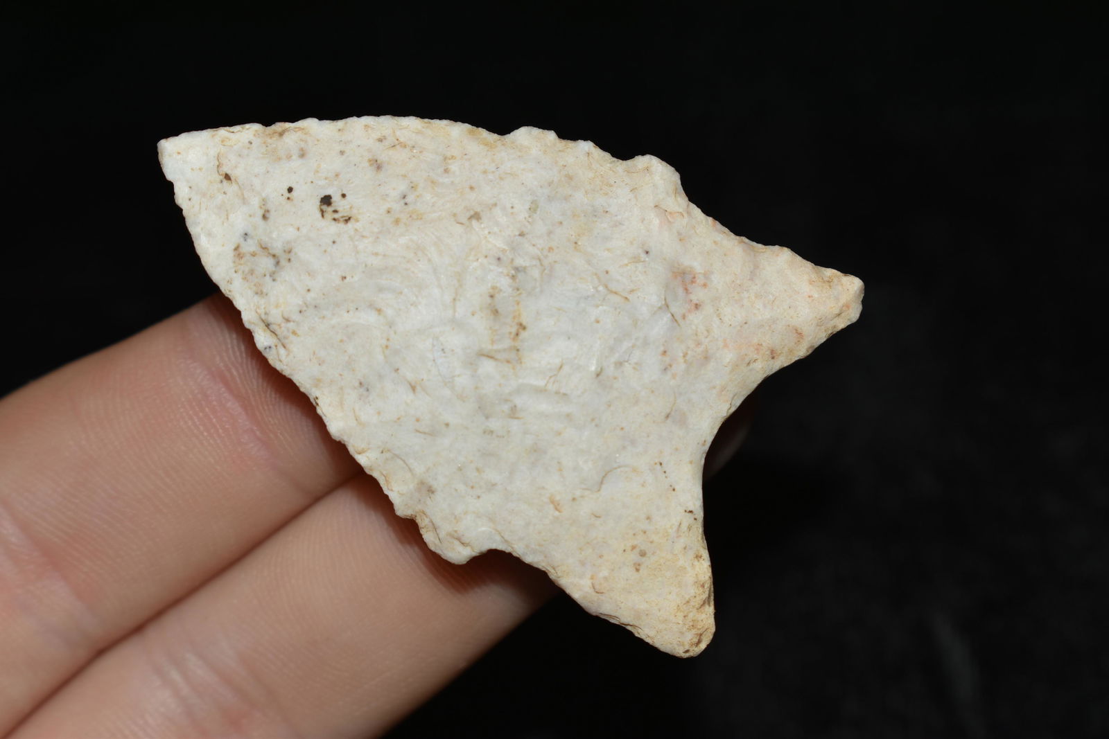 2 1/16" Johnson, Pope Co., Arkansas Partain C.O.A: 2 1/16" Johnson found in Pope Co., Arkansas Partain C.O.A