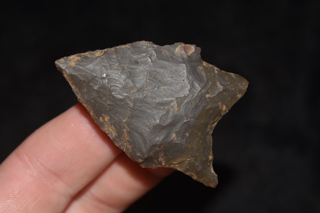 2 1/8" Johnson, Southwest Central Arkansas Partain C.O.: 2 1/8" Johnson found in Southwest Central Arkansas Partain C.O.A