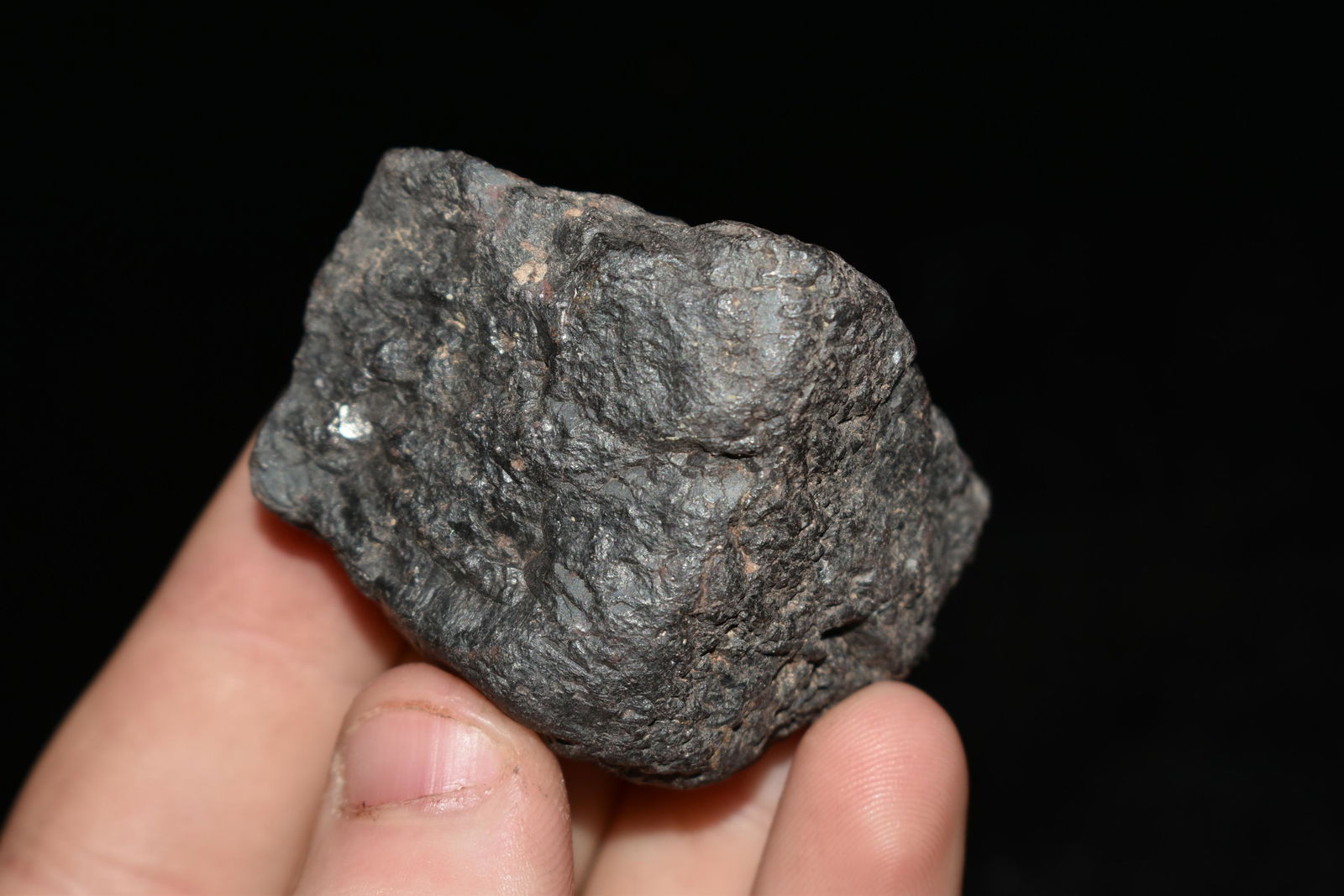 2 3/4" Del Campo Metorite: 2 3/4" Del Campo Metorite