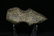 3 5/8" Boysen Axe #5, Pictured in Keokuk Axes, by Bruce - 4