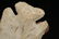3 3/4" Thebes, found in Boone Co., Missouri, Ex. - 4
