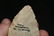3 3/4" Thebes, found in Boone Co., Missouri, Ex. - 5