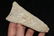 4 3/8" Dalton Knife, Pike Co., Missouri MOTLEY C.O.A - 2
