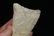 4 3/8" Dalton Knife, Pike Co., Missouri MOTLEY C.O.A - 4