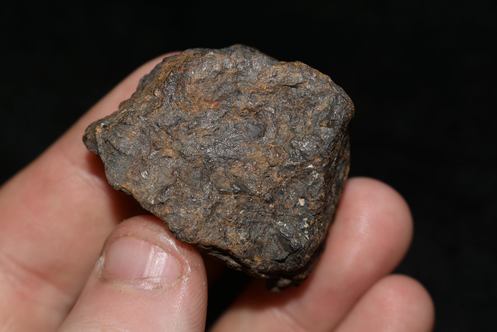 1.6g Campo Del Cielo Meteorite, 1576, Gran Chaco: 1.6g Campo Del Cielo Meteorite, 1576, Gran Chaco Gualamaba , Argentina