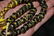 12" Strand of African Trade Beads - 4