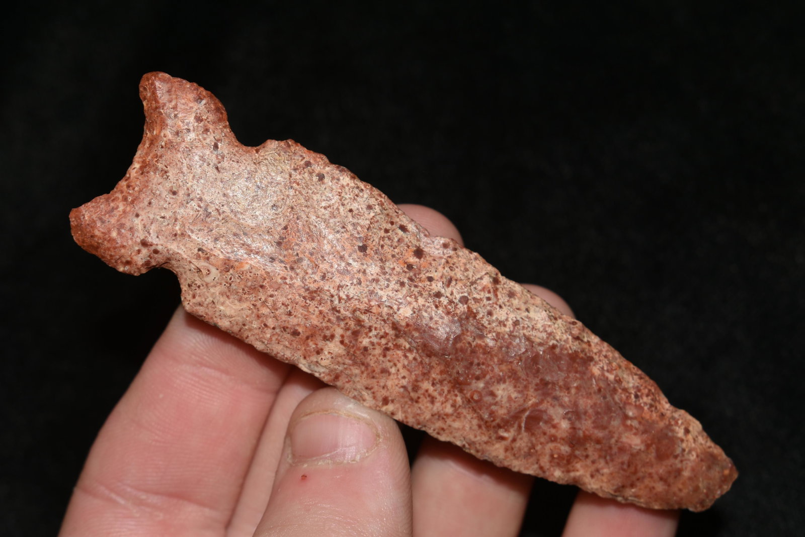 Very Colorful 3 5/8 Graham Cave found in Marion Co.,: Very Colorful 3 5/8 Graham Cave found in Marion Co., Missouri Authentic Native American Artifact