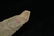 8 1/16" Morse Knife found in Brown Co., Illinois MOTLEY - 4