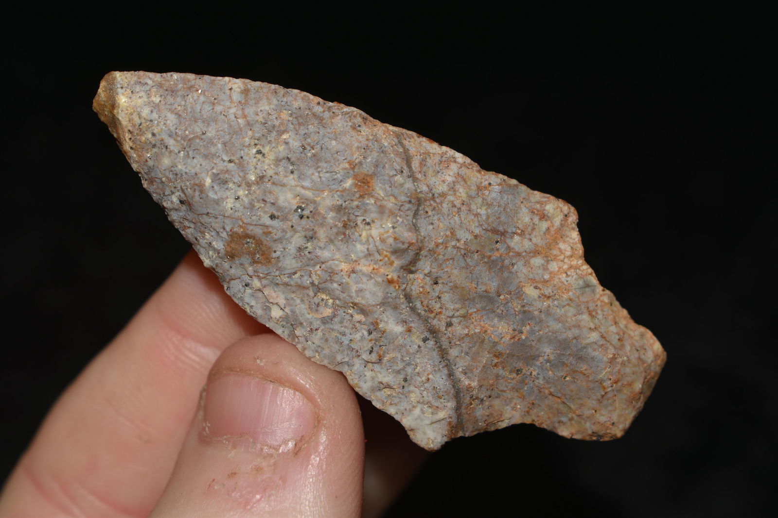 2 1/4" Costal Chert Point (1 of 4)