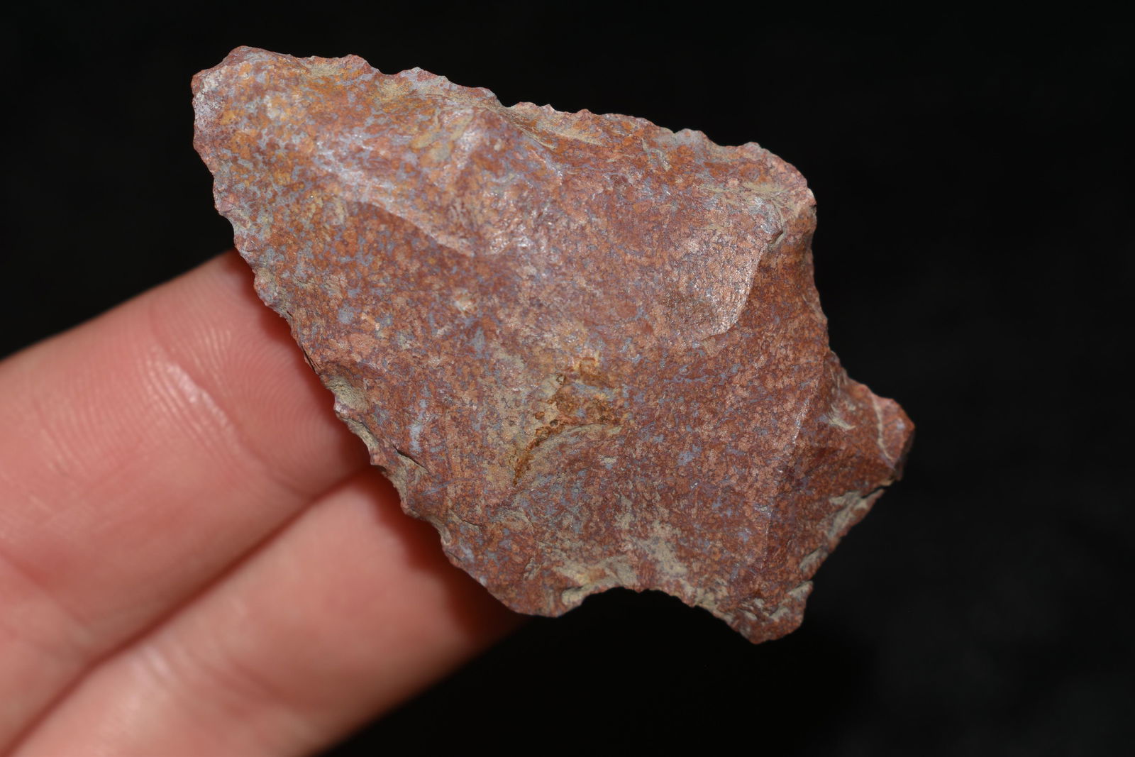 2" Pickwick (1 of 4)