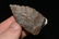 1 3/4" Semi Translucent Paleo Point