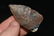 1 3/4" Semi Translucent Paleo Point - 2