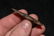1 3/4" Semi Translucent Paleo Point - 3