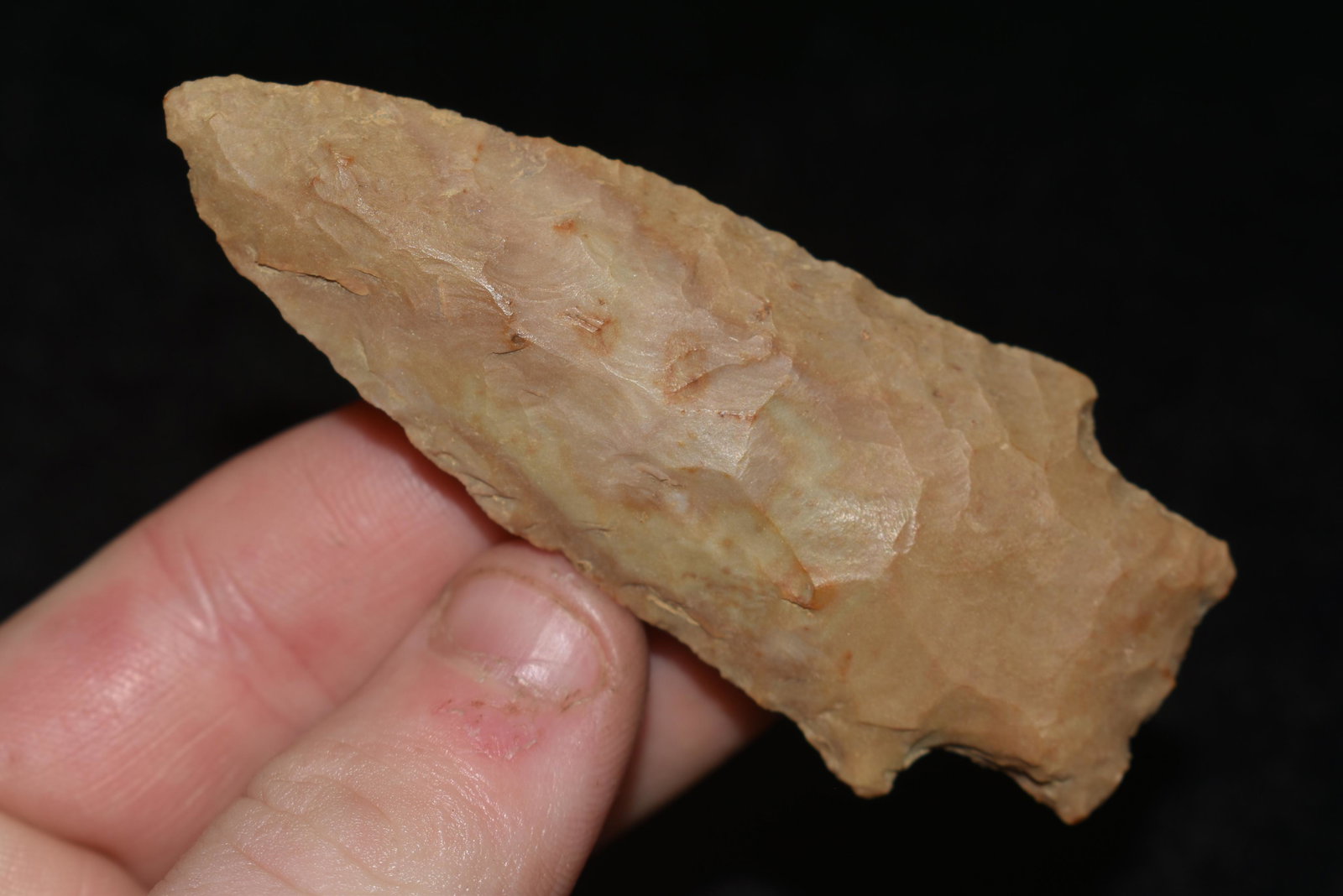 3" Buzzard Roost (1 of 6)