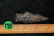 2 3/4" River Polished Point - 4
