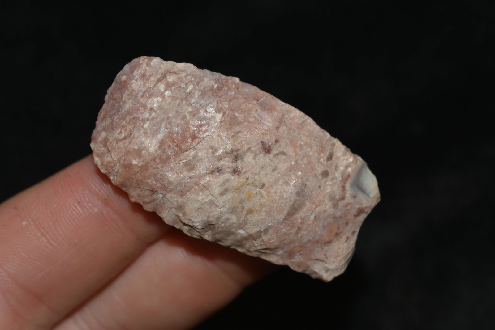 1 3/4" Angostura Blunt found in Lewis County, Mo by: 1 3/4" Angostura Blunt found in Lewis County, Mo by John Burford