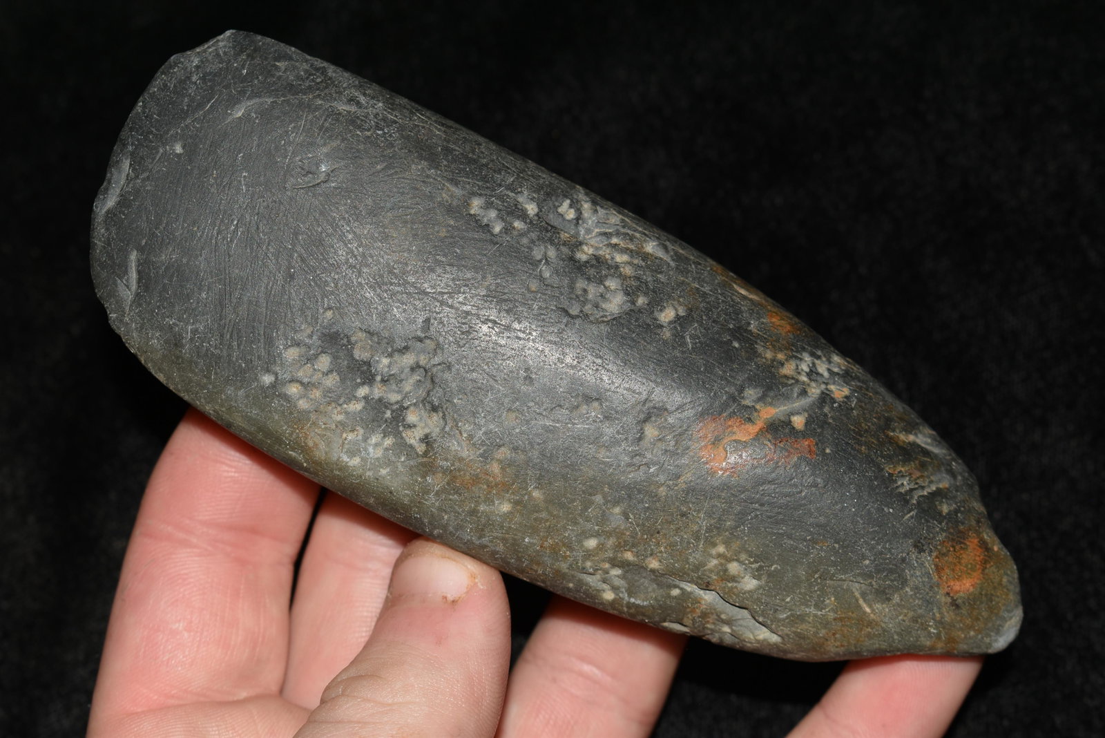 5" Celt found in Lewis County, Mo by John Burford: 5" Celt found in Lewis County, Mo by John Burford